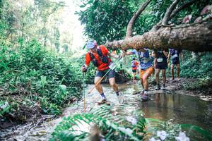 BIB: 
                            <button type="button" onclick="openModal(25449381)" class="btn btn-primary btn-sm float-right btn-popup" data-toggle="modal" data-target=".modal-high-quality">
                        <i class="fas fa-shopping-cart"></i> Add to Cart
                    </button>
                                            <button type="button" onclick="isThisMe(25449381, true)" class="btn btn-success btn-sm float-right btn-popup btn-isme hidden" data-toggle="tooltip" data-placement="bottom" title="นี่คือรูปของคุณใช่ไหม คลิกที่นี่เพื่อเอาเข้าอัลบั้ม">
                        <i class="fas fa-plus"></i> Add to album
                    </button>
                    <button type="button" onclick="isThisMe(25449381, false)" class="btn btn-warning btn-sm float-right btn-popup btn-isnotme hidden">
                        <i class="fas fa-ban"></i> Remove from album
                    </button>